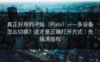 真正好用的-P站（Pixiv）——多设备怎么切换？这才是正确打开方式｜先搞清版权