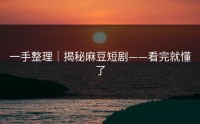 一手整理｜揭秘麻豆短剧——看完就懂了