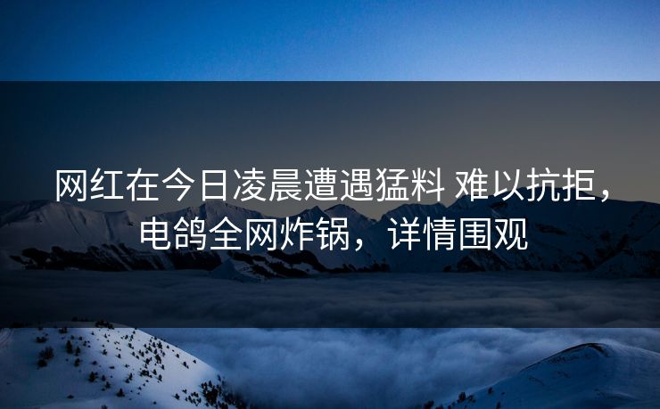 网红在今日凌晨遭遇猛料 难以抗拒，电鸽全网炸锅，详情围观