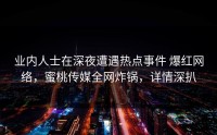 业内人士在深夜遭遇热点事件 爆红网络，蜜桃传媒全网炸锅，详情深扒