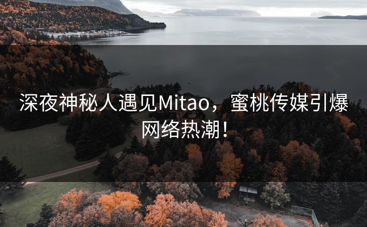 深夜神秘人遇见Mitao,蜜桃传媒引爆网络热潮! 深夜神秘人遇见Mitao,蜜桃传媒引爆网络热潮!