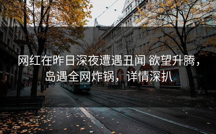网红在昨日深夜遭遇丑闻 欲望升腾，岛遇全网炸锅，详情深扒